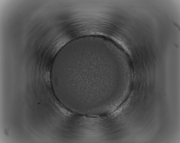 X0000091720881200708311136