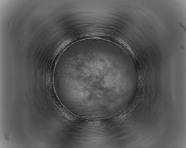 X0000091720882200708311136