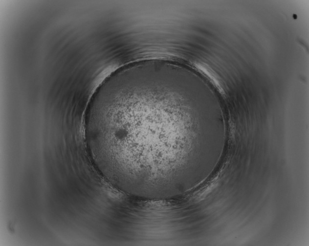 X0000091720883200708311136