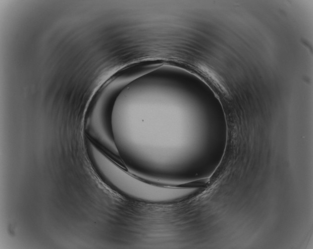 X0000091720884200708311136