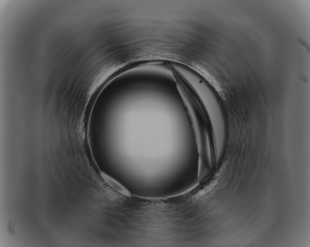 X0000091720885200708311136