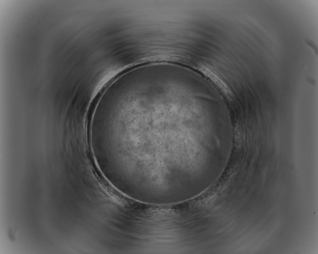 X0000091720886200708311136