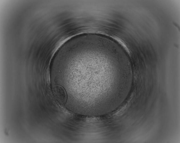 X0000091720887200708311136