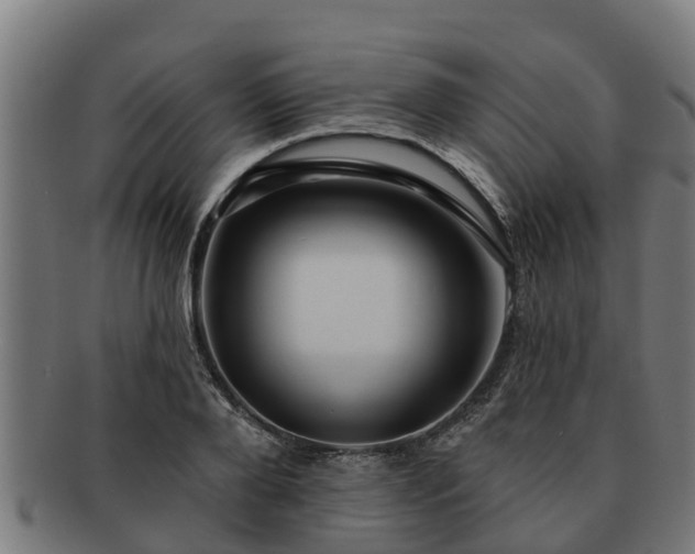 X0000091720888200708311136