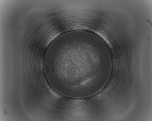 X0000091720889200708311136