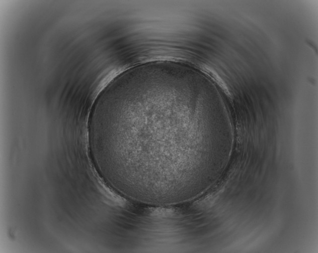 X0000091720890200708311136