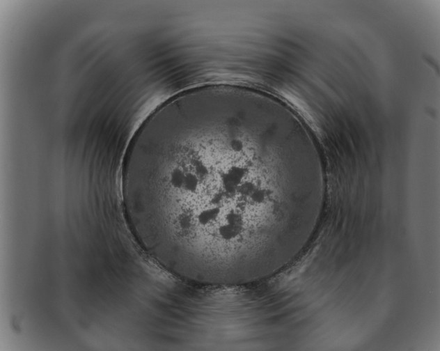 X0000091720891200708311136