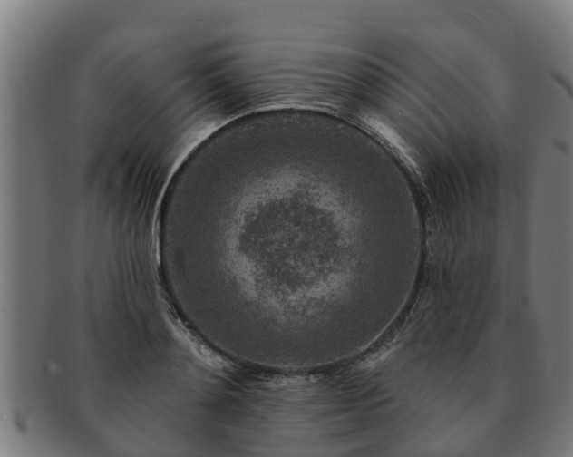 X0000091720892200708311136