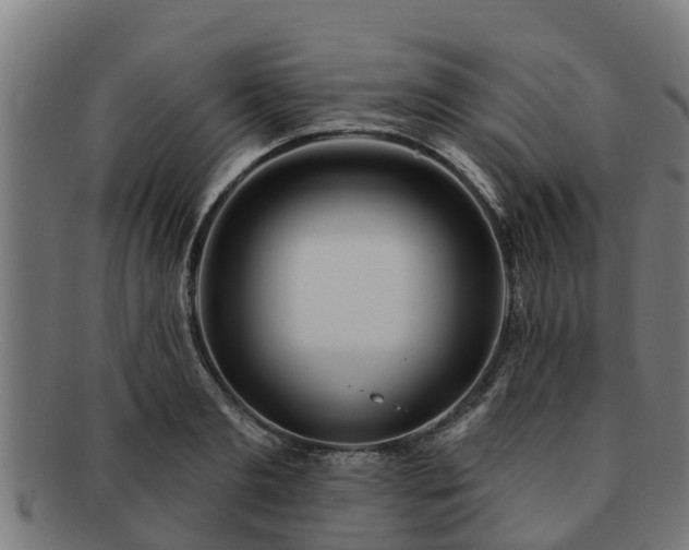 X0000091720893200708311136