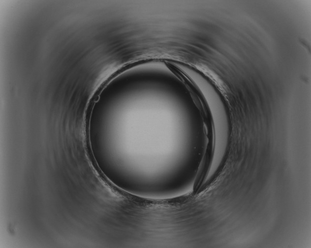 X0000091720894200708311136