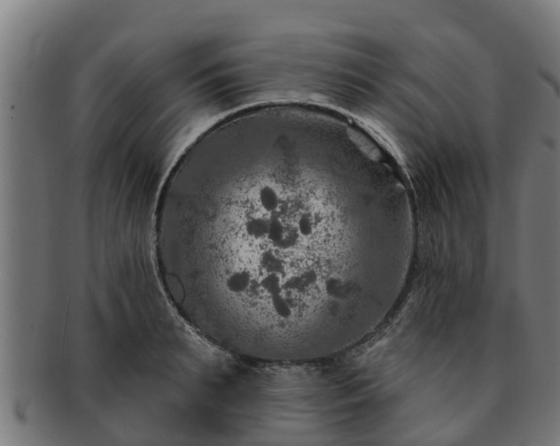 X0000091720895200708311136