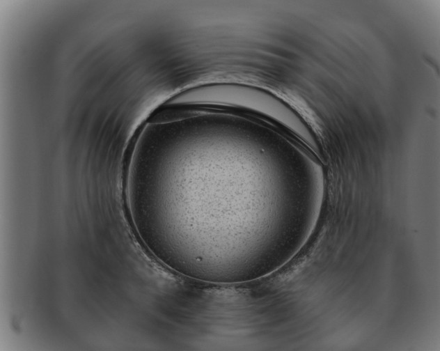 X0000091720896200708311136