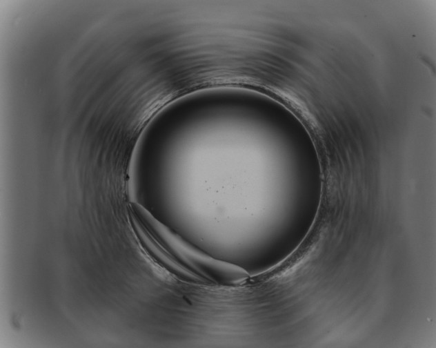 X0000091720897200708311136