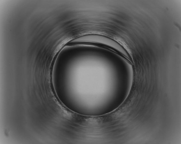 X0000091720898200708311136