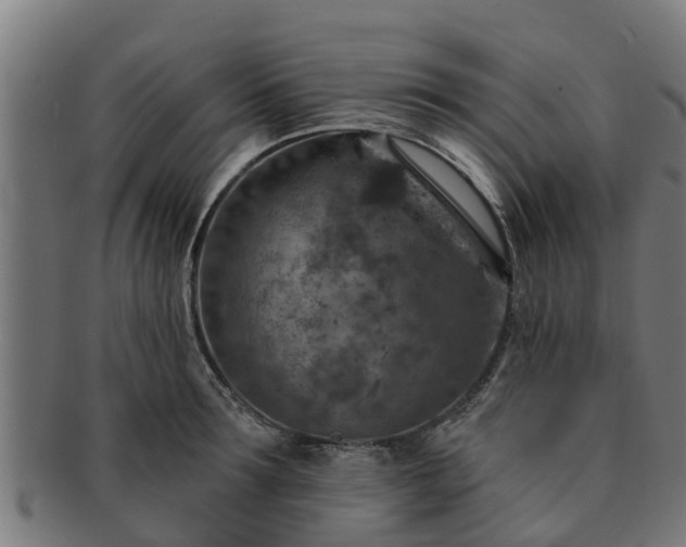 X0000091720899200708311136