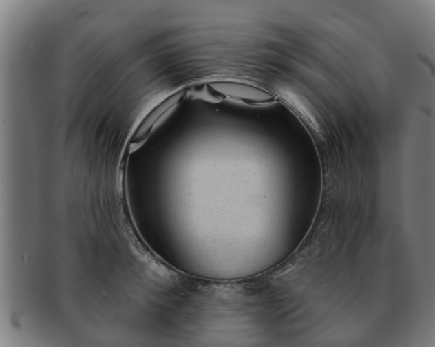 X0000091720900200708311136