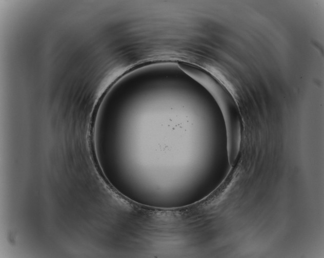 X0000091720901200708311136