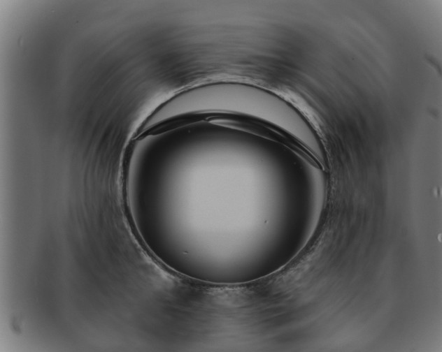 X0000091720902200708311136