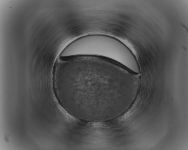 X0000091720903200708311135