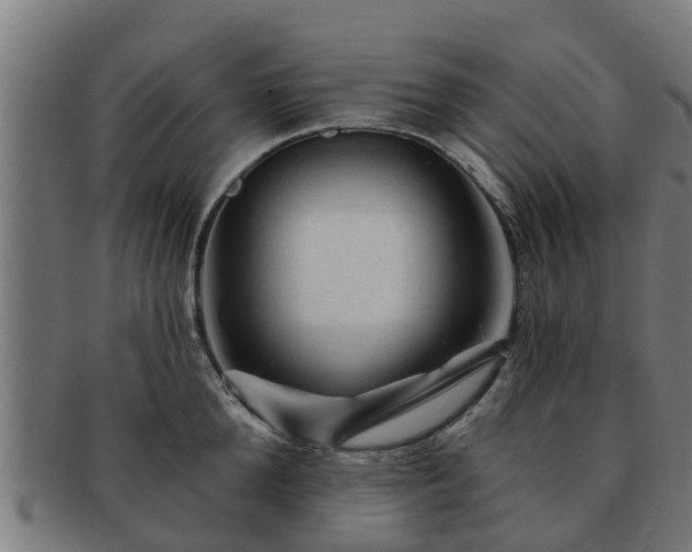 X0000091720904200708311135