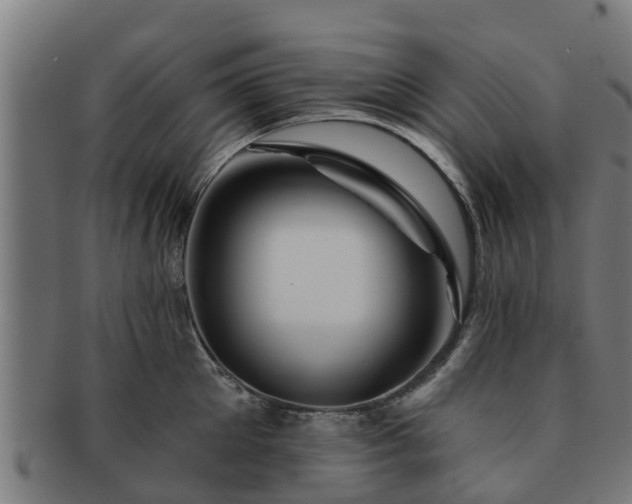 X0000091720905200708311135