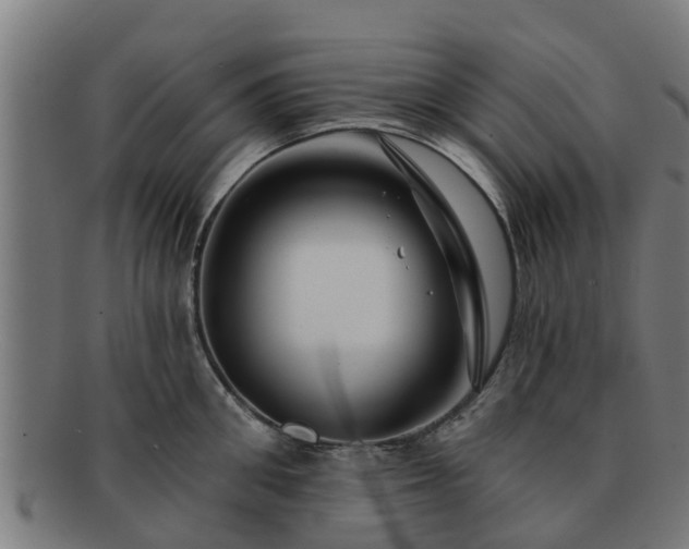 X0000091720906200708311135