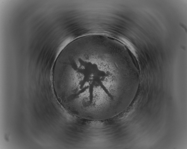 X0000091720907200708311135