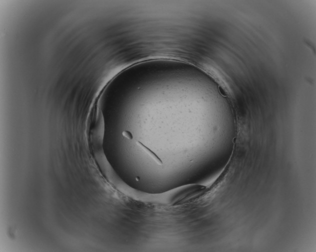 X0000091720908200708311135