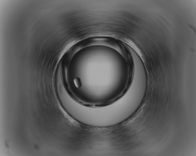 X0000091720909200708311135