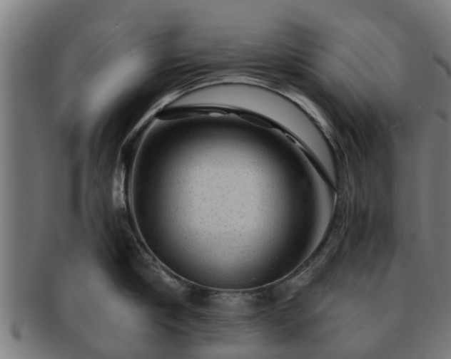 X0000091720910200708311135