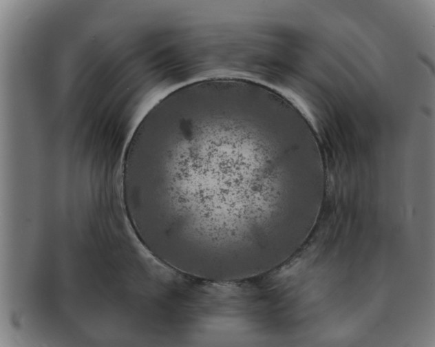 X0000091720911200708311135