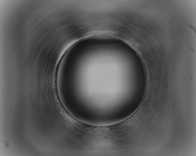 X0000091720912200708311135