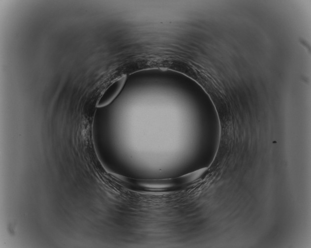 X0000091720914200708311135