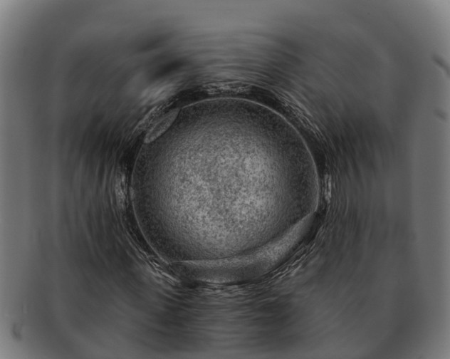 X0000091720915200708311135