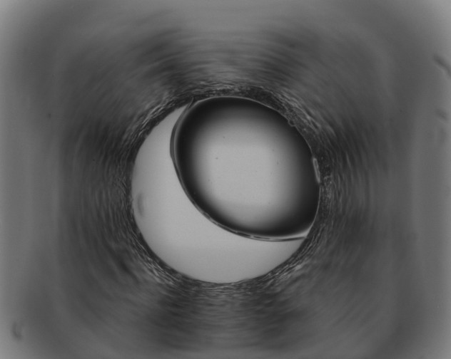 X0000091720916200708311135