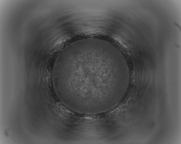 X0000091720917200708311135