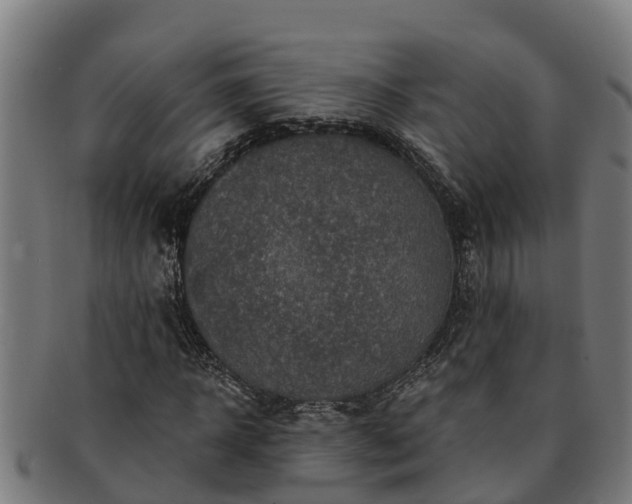 X0000091720918200708311135