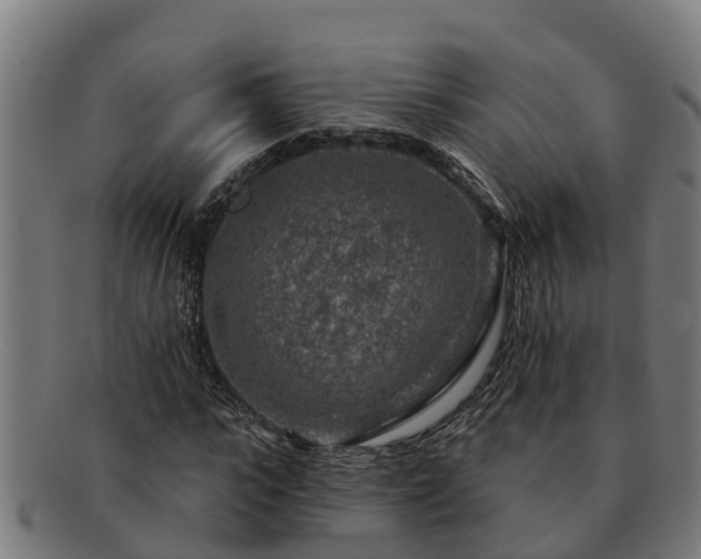 X0000091720919200708311135