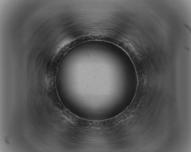 X0000091720920200708311135