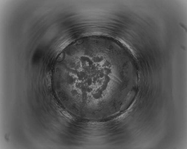 X0000091720921200708311135