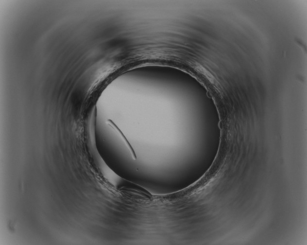 X0000091720922200708311135