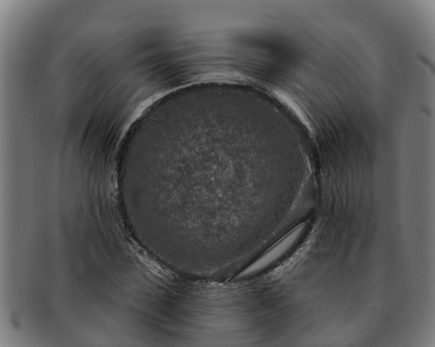 X0000091720923200708311135