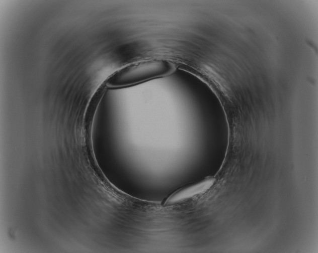 X0000091720924200708311135