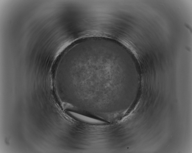 X0000091720925200708311135