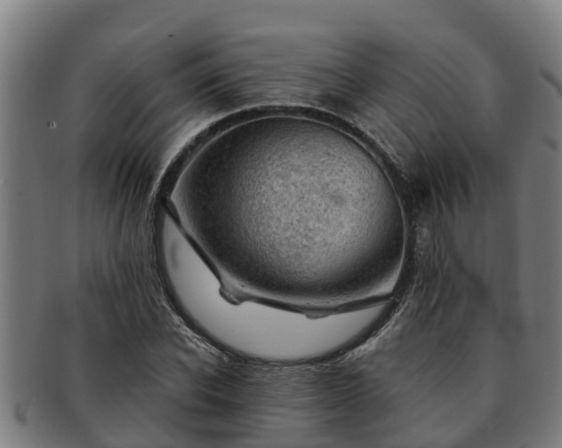 X0000091720926200708311135