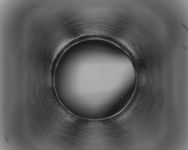 X0000091720927200708311135