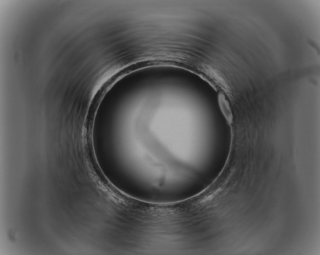 X0000091720928200708311135