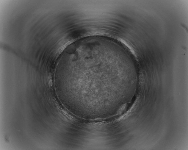 X0000091720929200708311135