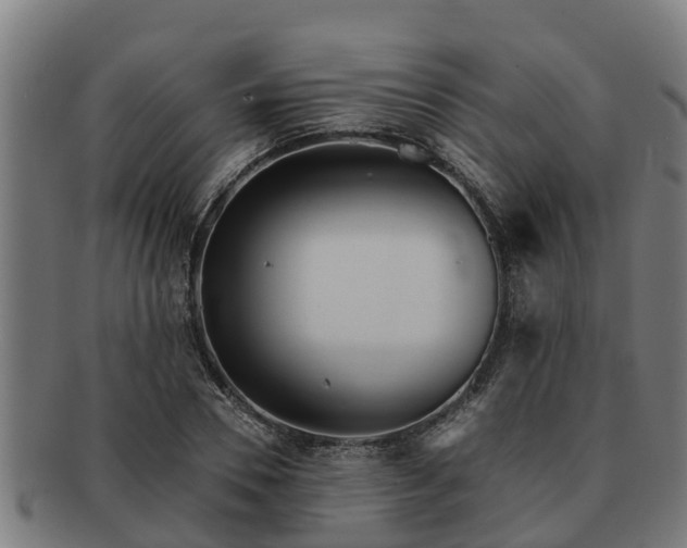 X0000091720930200708311135