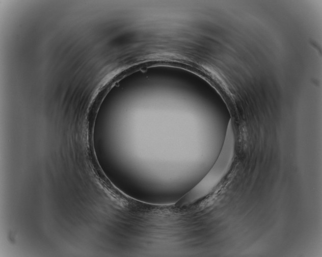 X0000091720931200708311135